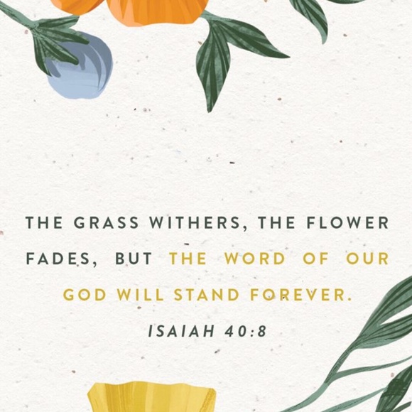 Meet your Posher, Rachel. Here 4 the glory of JESUS ✝️ - Picture 2 of 6